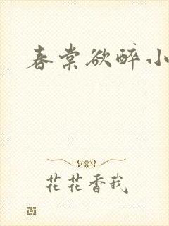 春棠欲醉小说