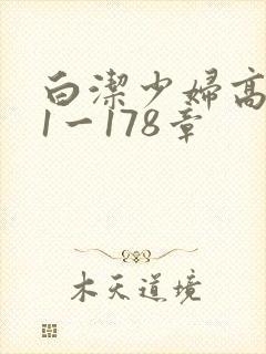 白洁少妇高义第1一178章