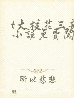 t大校花三部曲小说免费阅读全文