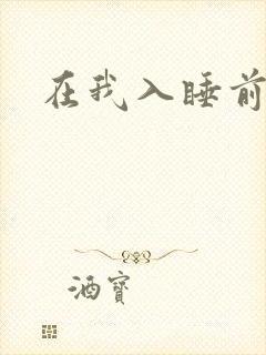 在我入睡前封面