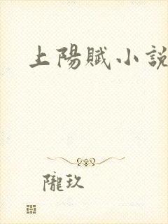 上阳赋小说