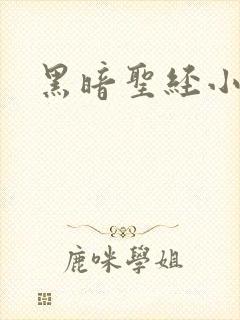 黑暗圣经小说