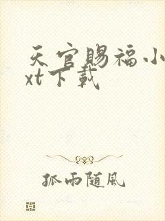 天官赐福小说txt下载