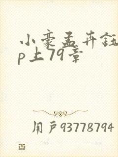 小豪孟卉钰慧三p上79章