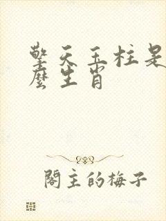 擎天玉柱是指什么生肖封面