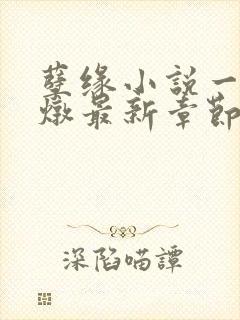 孽缘小说一家乱炖最新章节阅读