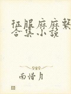 征服麻麻系列大合集小说