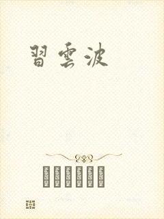 习云波封面