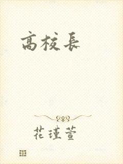 高校长