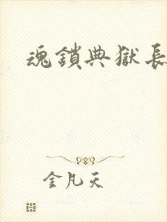 魂锁典狱长封面