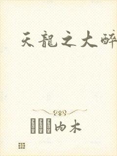 天龙之大醉侠