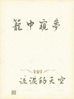 笼中窥梦