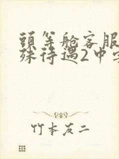 头等舱客服的特殊待遇2中字