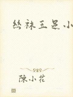 丝袜玉足小说