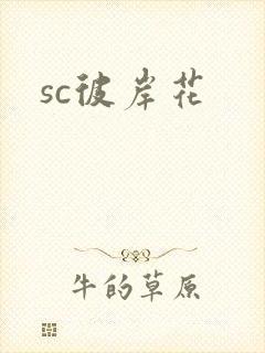 sc彼岸花封面