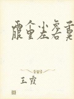 两个小兔子在衣服里左右晃