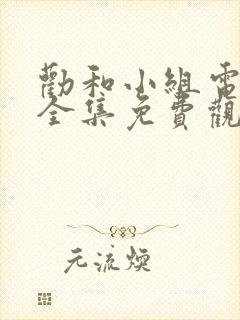 劝和小组电视剧全集免费观看
