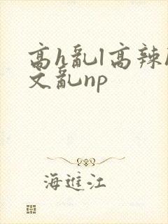 高h乱l高辣h文乱np