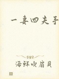 一妻四夫手记