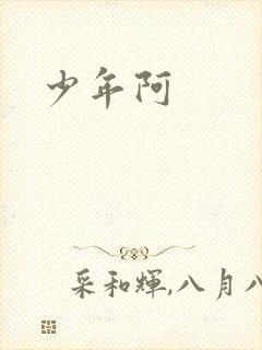 少年阿封面