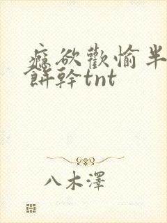 瘾欲欢愉半块小饼干tnt