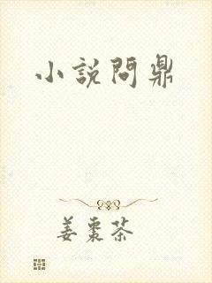 小说问鼎封面