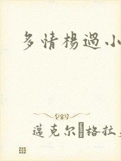 多情杨过小说
