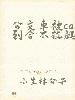公交车被cao到合不拢腿视频