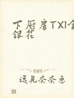 下厨房TXl金银花