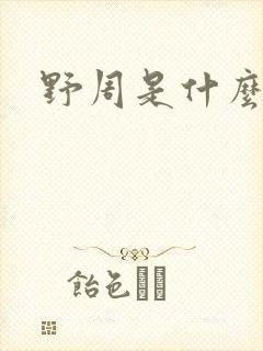 野周是什么意思