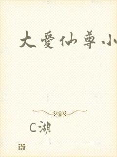 大爱仙尊小说
