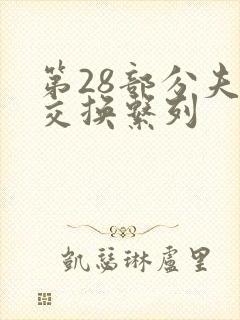 第28部分夫妇交换系列封面