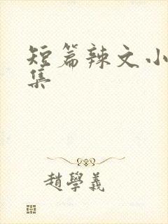 短篇辣文小说合集封面