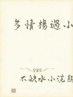 多情杨过小说