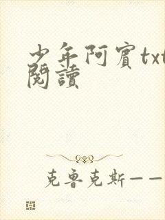 少年阿宾txt阅读
