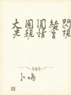 大团圆结闪闪发光亲情会视频