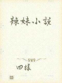 辣妹小说封面