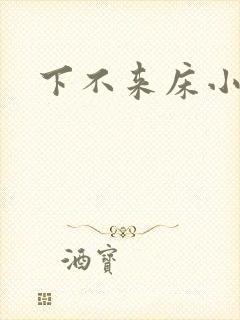 下不来床小说