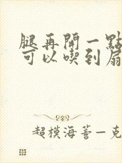 腿再开一点我就可以吃到扇贝了封面