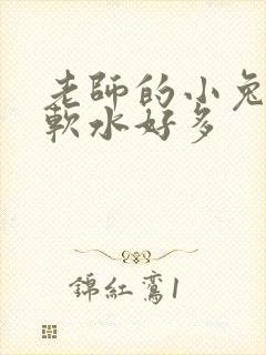 老师的小兔子好软水好多
