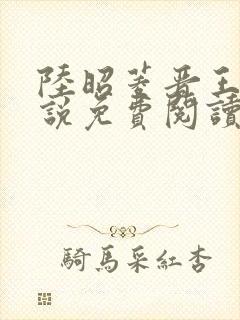 陆昭菱晋王的小说免费阅读