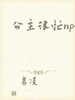 公主很忙npc