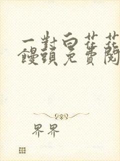 一对白花花的大馒头免费阅读