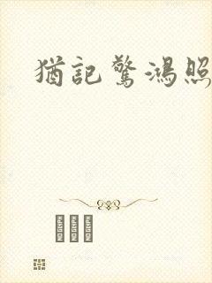 犹记惊鸿照影封面