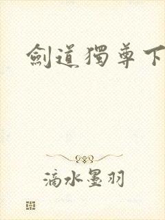 剑道独尊下载
