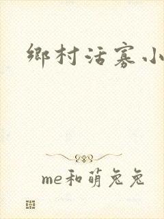 乡村活寡小说封面