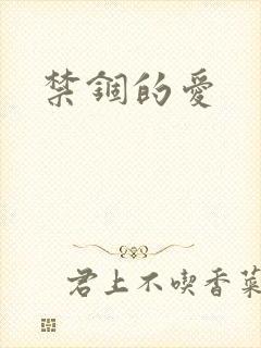 禁锢的爱封面