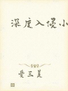 深度入侵小说