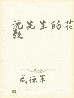 沈先生的花式管教封面
