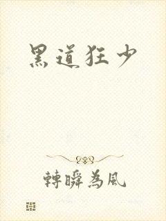 黑道狂少